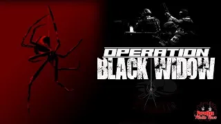 OPERATION BLACK WIDOW TIMELINE