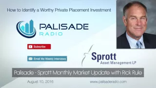 Palisade - Sprott Monthly Market Update: How to Identify a Worthy Private Placement Investment
