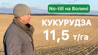 Кукурудза 11,5 т/га | No-till на Волині