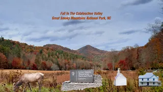 Fall In the Cataloochee Valley - Great Smoky Mountains National Park, NC