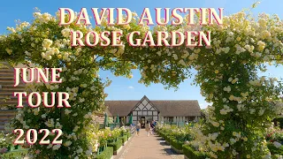 David Austin Rose Garden  - June Tour 2022