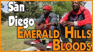 Emerald Hills Bloods history from Southeast San Diego (pt.1of2)