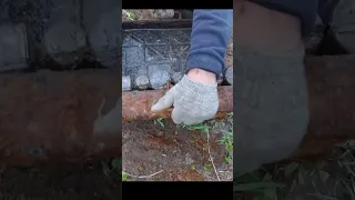 WE OPEN A HEAVY BOX FROM THE GERMAN DUGOUT OF THE SECOND WORLD WAR