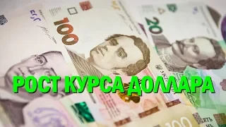 Курс валют к гривне в Украине 31 января: доллар пробил отметку в 25 гривен, НБУ вмешался