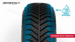 Обзор всесезонной шины Goodyear Vector 4Seasons ● Автосеть ●