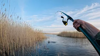 УЕХАЛ ОДИН дальше ВСЕХ и нарвался на бешеный КЛЕВ!! Рыбалка на ЗАРЕ!