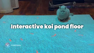 Tiny Koi | interactive display floor or wall projector game from LUMOplay