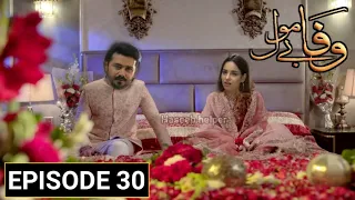 Wafa Be Mol Episode 30 Teaser | Wafa Be Mol Episode 29 | Hum Tv Drama | Haseeb helper