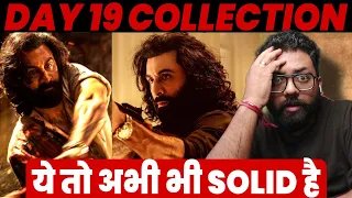 Animal Day 19 Official Box Office Collection | Day 19 Animal Box Office Collection India Worldwide