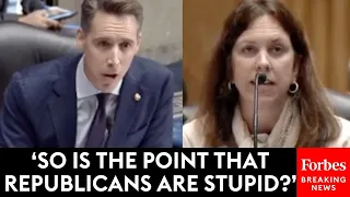 'So Is The Point That Republicans Are Stupid?': Josh Hawley Grills Biden Nominee On Past Writing