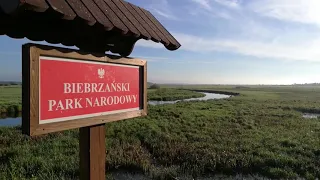 Poranek nad Biebrzą - most w Dolistowie Starym - Biebrzański Park Narodowy