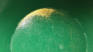 Finish Panning Some Cape Disappointment Gold From 1-12-2019 Trip