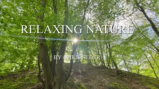 Relax Nature Cozy Place Melodie