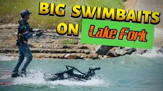 Big Swimbaits on Lake Fork