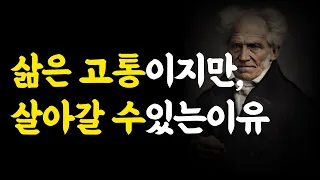 쇼펜하우어 인생론 : 행복은 삶의 목적이 아니다.