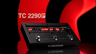 2290 P Dynamic Digital Delay - OFFICIAL VIDEO