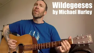 Wildegeeses by Michael Hurley - Cover