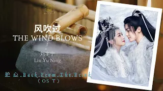 The Wind Blows (风吹过) - 刘宇宁 (Liu Yu Ning) || Back From The Brink (护心) OST || Han/Pin/Eng Lyric Video