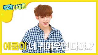 (ENG/JPN) [Weekly Idol] 리더 쿱스의 설자리는 13소년의 혼란한 랜덤플레이 댄스! l EP.308