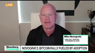 Novogratz Says Bitcoin Participation Is Just Starting