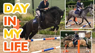 'A DAY IN THE LIFE' riding edition ~ With Shires Equestrian
