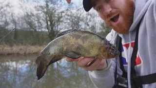 Can I Catch a Fish on This Crazy Tench Bait!