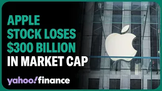 Apple loses more than $300 billion in market cap this year amid stock slide