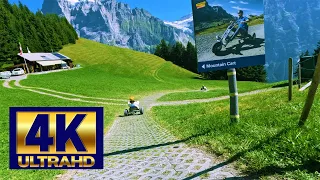 Grindelwald Switzerland First Mountain Cart 4K /First activity / 피르스트 액티비티 마운틴 카트 /First /Swiss