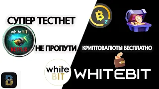 Большие деньги за минимальные действия! WhiteBit -Тестируем собственный блокчейн от биржи!