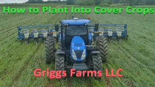 How to Plant into Cover Crops (4K)