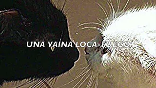 una vaina loca // fuego (slowed)