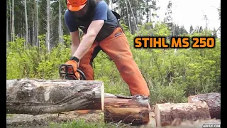 CUTTING FIREWOOD USING A STIHL MS 250