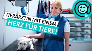 Als Tierarzt Tieren helfen - Tierärztin Charlotte | Zeig mir deinen Job! | SWR Plus