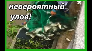 кастинговая сеть рыбалка! большой улов в кастинговую сеть! big catch in casting net!