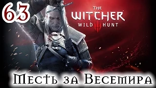 Прохождение The Witcher 3: Wild Hunt: Серия #63 - Месть за Весемира