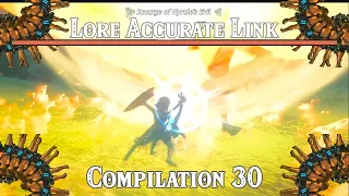 The Scourge of Hyrule's Evil: Lore Accurate Link Compilation 30