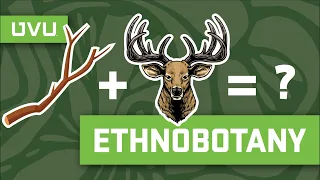 What Is Ethnobotany?