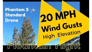 Will the DJI Phantom 3 Standard Handle Wind Gusts & High Elevation? Mountain Drone Flight Video