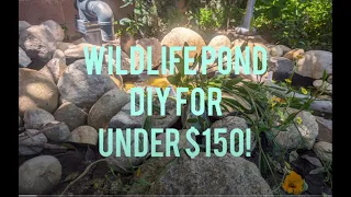 DIY Wildlife Garden Pond [Under $150]