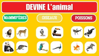 Quel est cet animal | Mammifères | Oiseaux | Poissons