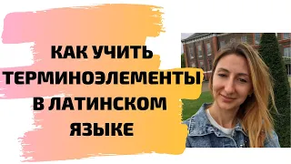 Как учить терминоэлементы в латинском языке