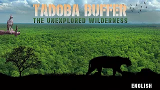 Tadoba Andhari Tiger Reserve - Buffer Zone (English Film)