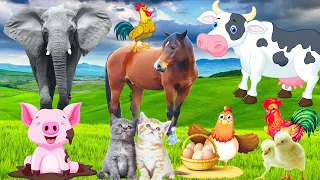 Funny wild farm animal sounds: cat, pig, elephants, dog, cow, duck, monkey, Tiger