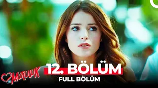 Adı Mutluluk 12. Bölüm