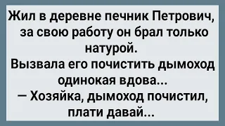 Как Печник Петрович Хозяйке Дымоход Чистил! Сборник Свежих Анекдотов! Юмор!