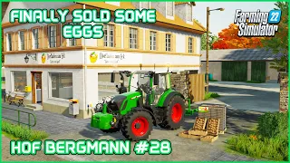 Harvesting Big Sunflower Field, Selling Egg Stock - Hof Bergmann #28 Farming Simulator22