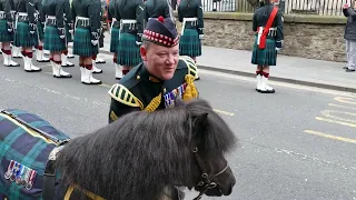 Cruachan parades The Royal Mile