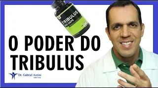 Tribulus, Porque eu Uso Esse Suplemento / Dr. Gabriel Azzini