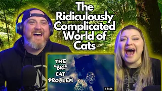 The Ridiculously Complicated World of Cats @mndiaye_97 | HatGuy & @gnarlynikki React