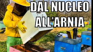 SPOSTIAMO LE API DAL NUCLEO ALL’ARNIA